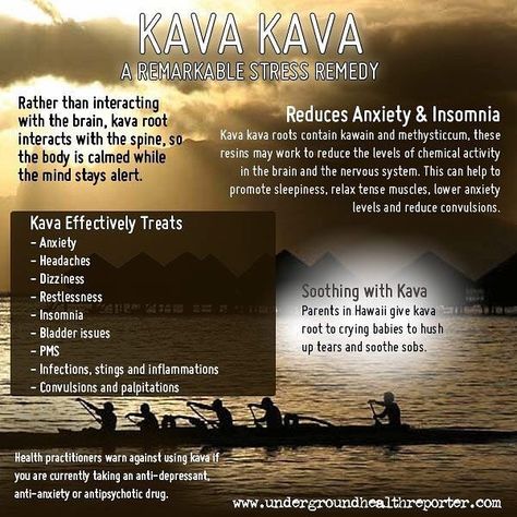 SEE next post.. Health Benefits Of Thyme, Kava Kava, Healing Herbs, Natural Herbs, Back To Nature, Medicinal Herbs, Holistic Healing, Natural Medicine, Alternative Medicine