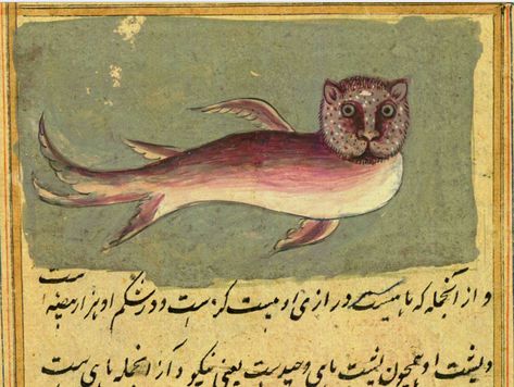 The Wonders of Creation by Persian scholar Zakariy al-Qazwini ‎(1203–1283). Часть 2. Persian Illustration, Medieval Drawings, Medieval Paintings, Persian Miniature, Medieval Life, Ecole Art, Medieval Manuscript, Old Paintings, Arte Animal