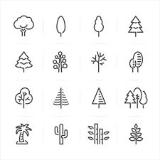 81,516 Forest Icon Stock Photos, Pictures & Royalty-Free Images - iStock Tattoo Trees, Tree Drawing Simple, Art Docent, Matching Tats, Fantasy Map Making, Sister Tattoo, Easy Doodle, Family Tattoo, Tree Icon