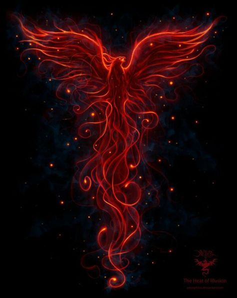 Tato Phoenix, Phoenix Wallpaper, Phoenix Bird Tattoos, Phoenix Artwork, Phoenix Images, Phoenix Tattoo Design, Phoenix Design, Phoenix Art, Initial Tattoo