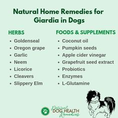 Giardia In Dogs, Natural Dog Remedies, Garlic Seeds, Dog Remedies, Grapefruit Seed Extract, Natural Homes, Natural Home Remedies, Natural Home, Natural Treatments