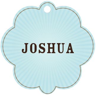 joshua. Isaiah Name, Royal Names, Baby Name List, Name Games, Spring Baby, Everything Baby, Baby Boy Names, Character Names