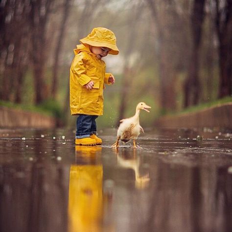 Child wearing a yellow raincoat & hat with a duck Favoritism Quotes, Challenges Quotes, Helpful Quotes, Soulful Quotes, Quotes Mind, Thoughtful Quotes, Living Quotes, Standing In The Rain, Quotes Positivity