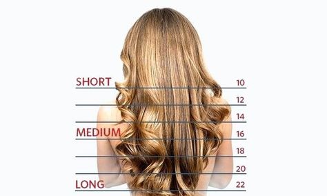 hair length chart Hairstylist Quotes, Lumpy Space, Cosmetology Student, Hair Length Chart, High Fashion Makeup, Rave Bra, Fairy Makeup, Mermaid Makeup, Lip Hair