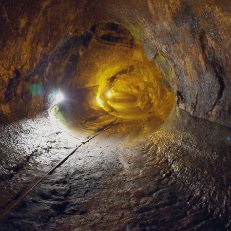 🌋 Explore the Mystical Thurston Lava Tube! 🌋 Ready for a magical journey through a natural wonder? 🌟✨ Discover the Thurston Lava Tube in Hawaii Volcanoes National Park—a breathtaking underground tunnel formed by flowing lava! 🏞️🔦 Have you ever explored a lava tube? Share your adventure stories! 🌍💬 📍 Location: Thurston Lava Tube, Hawaii Volcanoes National Park, HI #ThurstonLavaTube #HawaiiVolcanoes #ExploreHawaii #LavaTubeAdventure #NatureWonders #VolcanicLandscapes #TravelHawaii #AdventureAwaits Lava Tubes, Adventure Stories, Hawaii Volcanoes National Park, Hawaii Volcano, Underground Tunnels, Volcano National Park, Adventure Story, Hawaii Travel, Adventure Awaits