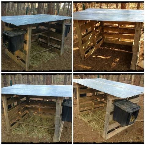 Simple Chicken Coop, Chicken Shelter, Pollo Tropical, Chicken Coop Plans Free, Cheap Chicken Coops, Chicken Coop Pallets, Easy Chicken Coop, Duck Coop, Chicken Barn