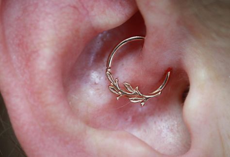 Daith w/ Amity in 14k rose gold by @bvla #appmember #safepiercing #bvla #bodyvision #daith #daithpiercing #slo #saluisobispo #piercing #rosegoldjewelry #bestofslo #slocounty #slopiercing #slopiercer #piercing Daith Earrings Silver, Bridgerton Oc, Daith Piercing Jewelry, Piercing Inspo, Daith Earrings, Septum Jewelry, Daith Piercing, Fun Jewelry, April 27