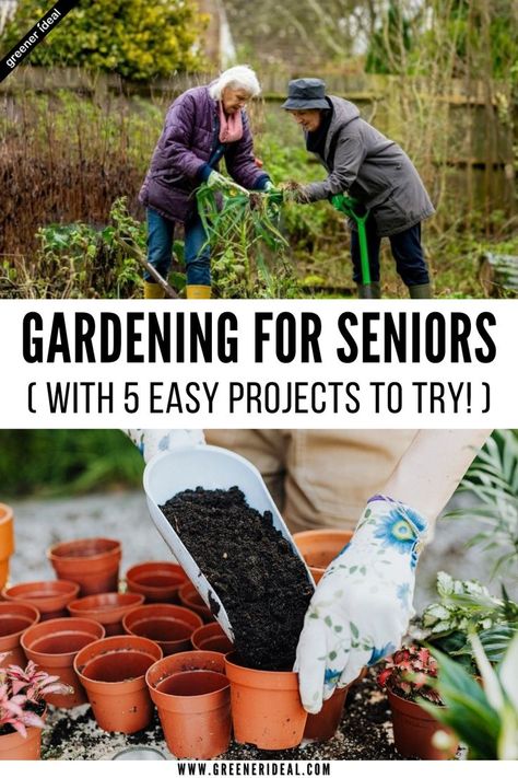 The benefits of gardening for seniors are tenfold. Many studies show how gardening may help with cognitive functions and other things for seniors. For instance, gardening can help improve balance and strength. It can even help with depression, loneliness, anxiety, or dementia. If you’re ready to get started, consider some of these fun and easy gardening projects today. Get that trowel brushed off and ready to go! Projects For Seniors, Harvest Vegetables, Easy Gardening, Benefits Of Gardening, Garden Activities, Gardening Projects, Mental And Physical Health, Container Gardening Vegetables, Garden Club