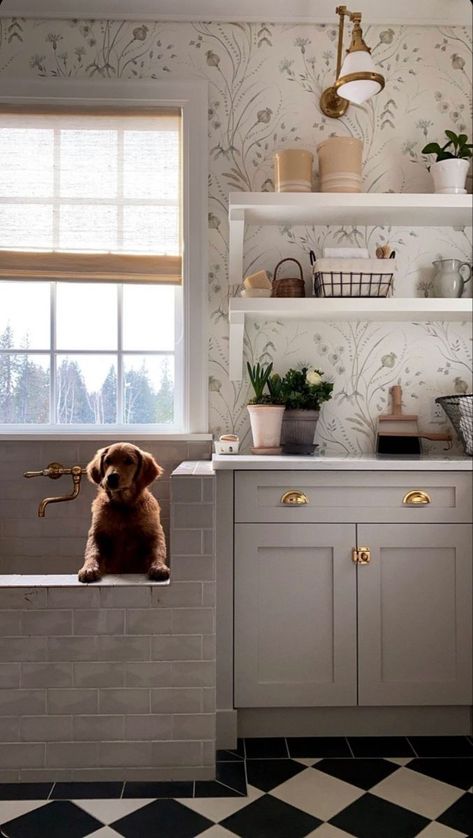 8 Must-Have Laundry Room Additions! - BLOOM AND BABE Laundry Room Addition, Cottage Laundry Room, Dream Laundry Room, Mudroom Laundry Room, Mudroom Design, Laundry Room Inspiration, Dog Rooms, Room Additions, Laundry Mud Room