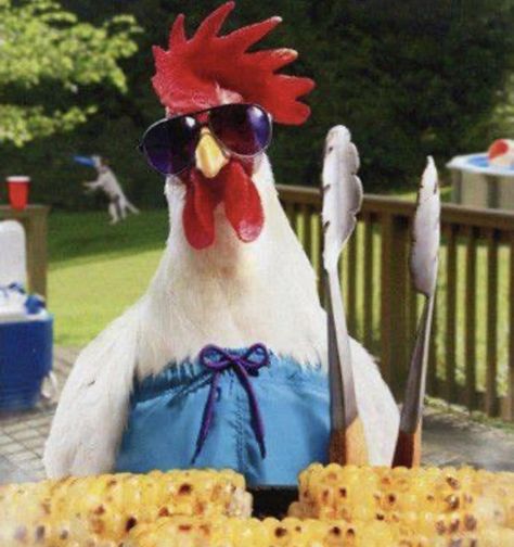 Chicken Aesthetic, Chicken Pictures, Fancy Chickens, 동화 삽화, Cute Chickens, Chickens And Roosters, Chicken Art, Chicken Humor, Grill Master