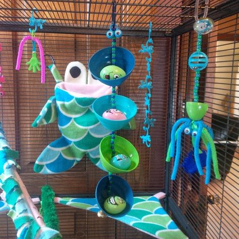 GliderGossip - Toy Making sugar glider toys Diy Sugar Glider Cage, Sugar Glider Care, Sugar Glider Baby, Pet Rat Cages, Sugar Glider Pet, Baby Glider, Rat Cage Accessories, Sugar Glider Cage, Sugar Glider Toys