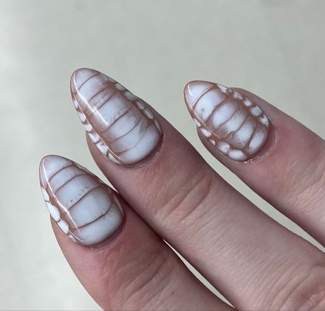 Crocodile Nails, Croc Nails, Aesthetic Nails, Nail Tutorials, White Beige, Nails Nailart, Nail Inspo, Nail Art, Nails