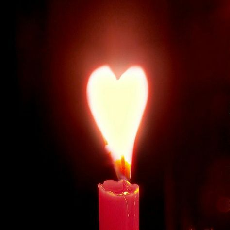 Heart In Nature, Heart Candle, Guard Your Heart, I Love Heart, Heart Images, Heart Strings, My Funny Valentine, Light My Fire, Beating Heart