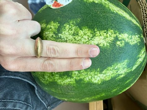 How to Pick the Best Watermelon Using the “Two-Finger” Rule | The Kitchn Watermelon Picking, Pick Watermelon, Picking Watermelon, Watermelon Hacks, Best Watermelon, Watermelon Uses, Ripe Watermelon, Sweet Interior, Watermelon Slicer