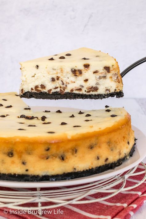 This Chocolate Chip Cheesecake is the perfect dessert for any party. The creamy vanilla cheesecake is loaded with chocolate chips and tastes so good. Plus, it has an Oreo cookie crust, so you know it's good. Easy Chocolate Chip Cheesecake, Fun Cheesecake Recipes, Cheesecake With Oreo Crust, Vanilla Cheesecake Recipes, Oreo Crust Cheesecake, Sour Cream Cheesecake, Yummy Cheesecake, Oreo Cookie Crust, Cheesecake Mini