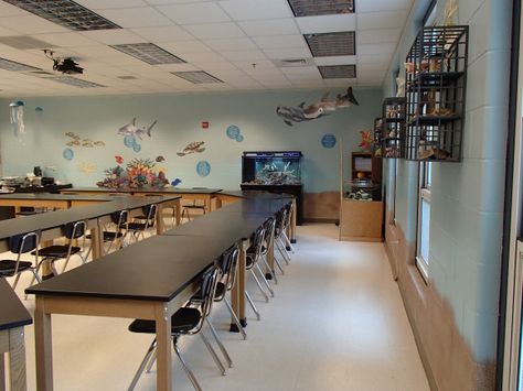 Marine Biology Classroom, Aquatic Science High School, Biology Teacher Classroom, Sea Puns, Ocean Puns, Life Science Classroom, Bio Lab, Beach Theme Classroom, Ocean Ideas