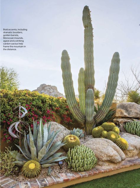 Desert Plants Landscaping, Cactus Garden Design, Desert Landscape Design, Cactus Garden Landscaping, Desert Backyard, Succulent Garden Landscape, Mexican Garden, Arizona Backyard, Arizona Landscape