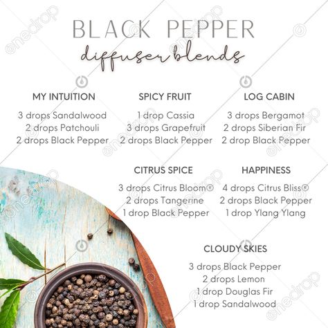 Black Pepper Diffuser Blend, Black Pepper Essential Oil Blends, Coriander Essential Oil, Black Pepper Essential Oil, Potpourri Recipes, Doterra Wellness Advocate, Essential Oil Diffuser Blends Recipes, Mind Body Connection, Essential Oil Perfume