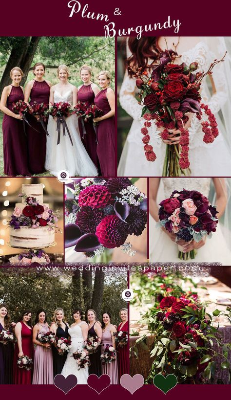 Plum And Rust Wedding Color Palettes, Burgundy Purple And Gold Wedding, Plum And Maroon Wedding, Wine And Plum Wedding Colors, Plum Burgundy Wedding, Deep Red And Purple Wedding, Red Purple Wedding Color Schemes, Plum And Red Wedding, Fall Wedding Color Palette Burgundy