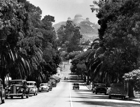 los feliz Griffith Observatory, Vintage City, Hollywood Photo, Griffith Park, California History, San Fernando Valley, Vintage Los Angeles, Vintage California, California Love