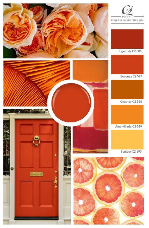 Orange Interior Design, Nature Palette, Cookies Thanksgiving, Mood Board Fashion Inspiration, Pattern Curator, Orange Paint Colors, Color Of The Month, Design Mood Board, Colour Consultant