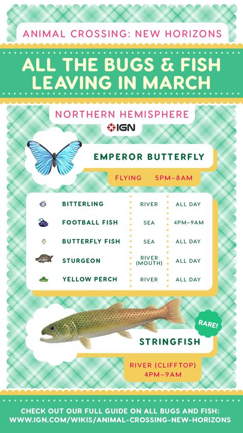 This ACNH fish and bugs leaving in March guide lists every fish and bug that will no longer be available or will be harder to find once March ends and April March Checklist, Animal Crossing Fish, Goliath Beetle, Fish List, River Mouth, Atlas Moth, Butterfly Fish, Fish Icon, Animal Crossing Guide