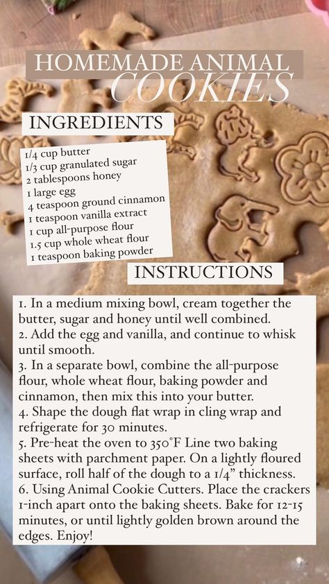 Thermaland Oaks's Amazon Page Homemade Animal Crackers, Animal Crackers Recipe, Thermaland Oaks, Homemade Recipe Books, Animal Cracker, Homemade Cookbook, Cracker Cookies, Animal Crackers, Animal Cookies