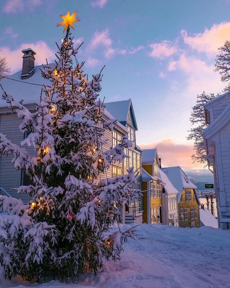 Winters in Bergen feels like a winter wonderland with @mountainsofnorway ❄️🏠💙🌨️ 💡 The city is known as one of Norway's rainiest places.… | Instagram Norway Winter, Winter Elopement, Bergen Norway, Beautiful Christmas Trees, World Cities, Food Tips, Winter Solstice, Christmas Tree Lighting, Sunrise Photography