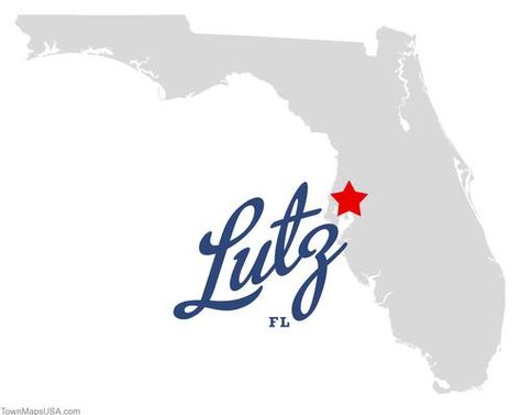 Tampa Real Estate News: Why Lutz? Lutz Florida, Pinellas County Florida, Urban Playground, Lead Generation Real Estate, Tampa Bay Area, Visit Florida, Real Estate Tips, Sunshine State, Real Estate Agents