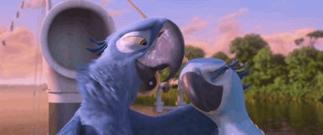 Rio GIF - Rio - Discover & Share GIFs Rio 2 Movie, Rio Movie, Rio 2, Hot Wings, Roblox Fits, 2 Movie, Blue Bird, Animated Gif, Cool Gifs