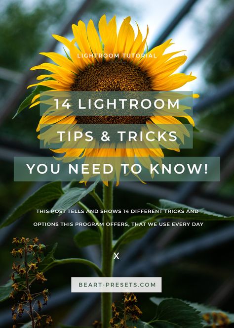 Lightroom Tips And Tricks, Kyoto Photography, Photography Cityscapes, Lightroom Tips, Lightroom Tutorials, Photography Cheat Sheets, Photography Lightroom, Photography Tricks, Lightroom Classic