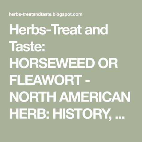 Herbs-Treat and Taste: HORSEWEED OR FLEAWORT - NORTH AMERICAN HERB: HISTORY, USES AND HEALTH BENEFITS OF HORSEWEED Horseweed Uses, Spices And Their Uses, Modern Names, Roman Chamomile, Herbs And Spices, Planting Herbs, Chinese Medicine, Medicinal Plants, Apothecary