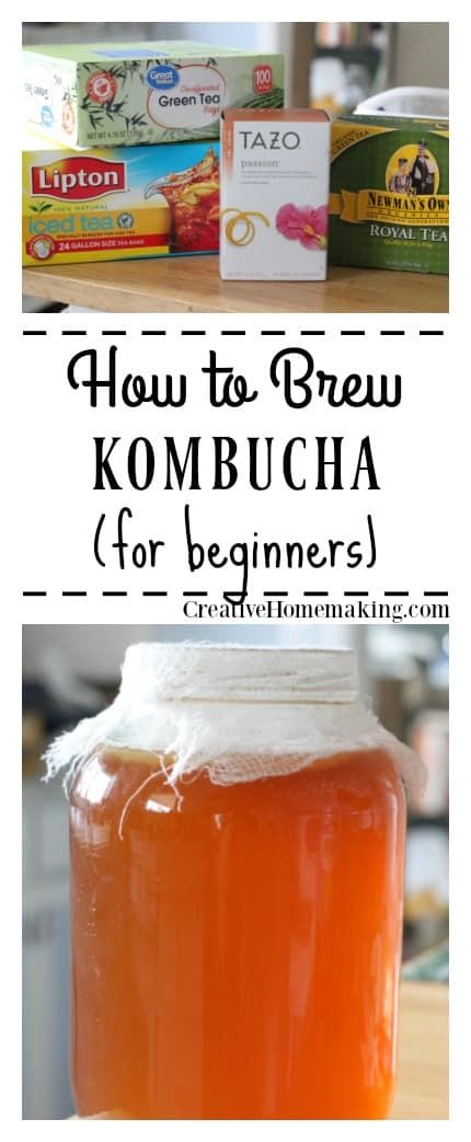 Recipes Chili, Kombucha Flavors, Pasta Bread, Kombucha Scoby, How To Brew Kombucha, Recipe For Beginners, Kombucha Recipe, Homemade Kombucha, Kombucha Tea