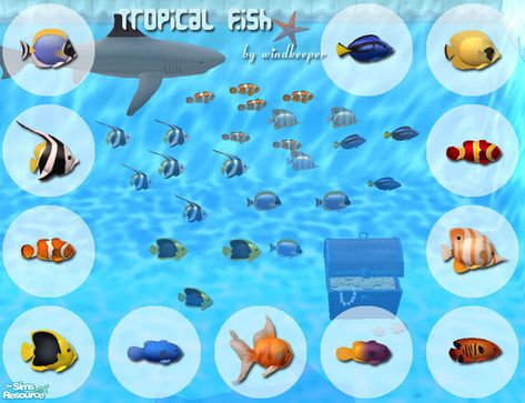 Sims 4 Fish Cc, Sims 4 Ocean Cc, Sims 4 Cc Pool Stuff, Pool Sims 4, Sims Car, Sims Pets, Sims 4 Cas Mods, Sims 4 Anime, Cheat Code