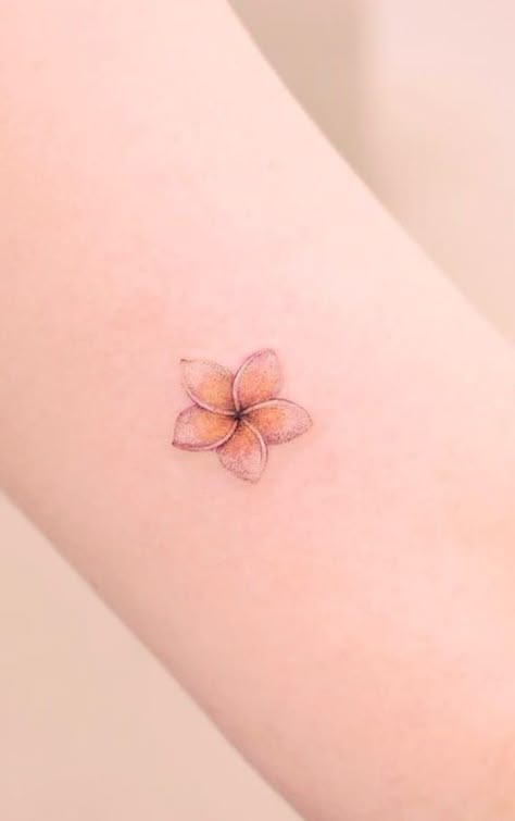 Bali Flowers Tattoo, Plumeria Flower Tattoos For Women, Delicate Hawaiian Tattoo, Pulmaria Plant Tattoo, Hawaii Tattoo Small Hawaiian Flowers, Plumeria Tattoos For Women, Fragipanni Tattoo, Hawaiian Plumeria Tattoo For Women, Tiny Plumeria Tattoo