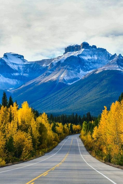 Travel Guide Banff National Park | Plan your Canada holiday and make sure to visit Banff National Park. #Canada #Alberta Icefield Parkway, Park Plan, Canada Holiday, Old Quebec, Long Term Travel, Visit Canada, Backpacking Tips, Travel Asia, Explore Canada