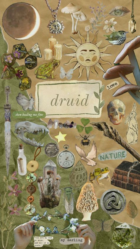 #druid #dnd Druid Aesthetic Dnd, Druid Oc, Druid Aesthetic, Druid Magic, Druid Dnd, Dnd Druid, Visually Pleasing, Case Ideas, Dnd Characters