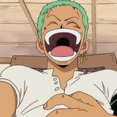 Ronoroa Zoro Manga, Ronoroa Zoro, Zoro Sanji, Zoro Nami, Zoro One Piece, Sky Pictures, One Piece Images, Nico Robin, Roronoa Zoro