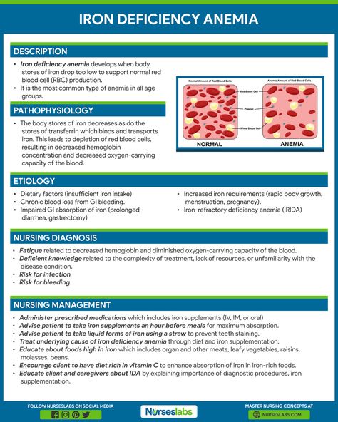 Hematology Nursing, Pathophysiology Nursing, Medical Infographic, Guide Infographic, Nursing Cheat, Nursing Study Guide, Care Management, Nursing Mnemonics, Pharmacology Nursing