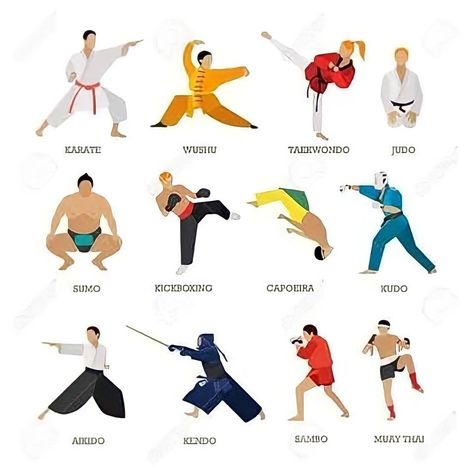 Types Of Martial Arts, Different Martial Arts, Brazilian Martial Arts, Background Sport, Martial Arts Forms, People Silhouette, Mixed Martial Arts Training, Martial Arts Movies, Martial Arts Techniques