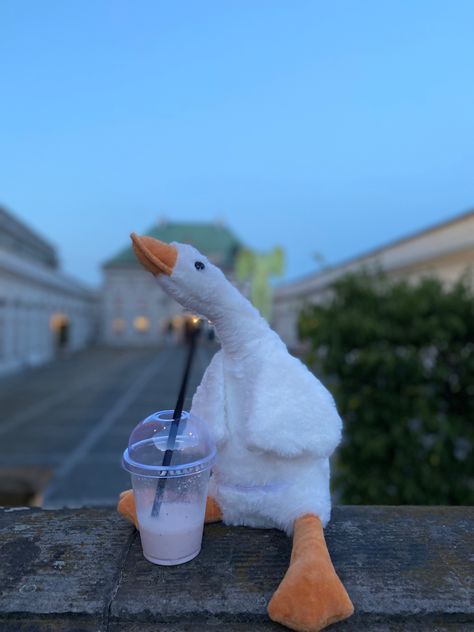 #photography #photooftheday #photo #instagram Duck Photography, Duck Stuffed Animal, Funny Emoticons, Cute Memes, Cute Profile Pictures, Photo Instagram, Cute Wallpapers, Cute Cartoon, Smoothie