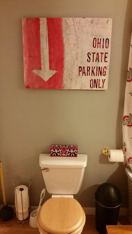 Handpainted Ohio state canvas for  my bathroom Sports Bathroom, Light Fixture Makeover, Ohio State Parks, Dream Basement, Lamp Shade Frame, Man Cave Bathroom, State Room, Above Cabinets, Boy Bath