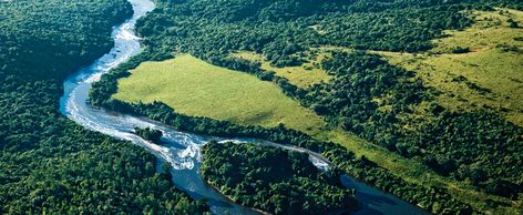 Região Sudeste - Estados, clima, relevo, vegetação, hidrografia, economia Amazon Forest, Fantasy Island, South Pacific, Wonders Of The World, North America, Forest, Wonder, Water, Instagram