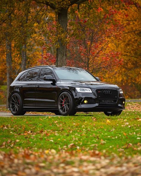 Sophisticated look, but what’s its story? Dive into the 2020 Audi Q5’s past with DVH and save 20% using PT20. Know before you go! #AudiQ5 #DriveLuxury #CarHistory Audi Truck, Audi Q5 Black, Business Insurance, Audi Q5, Car Auctions, Classic Cars Trucks, Truck And Trailer, Window Stickers, Dream Car