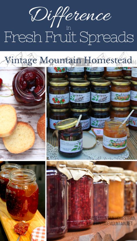 Difference between Fruit Spreads ⋆ Vintage Mountain Homestead Fruit Spreads Recipes, Fruit Spread Recipe, Mountain Homestead, Fruit Butters, Fruit Butter, Butter Fruit, Fruit Plus, Fruit Spread, Canning Fruit