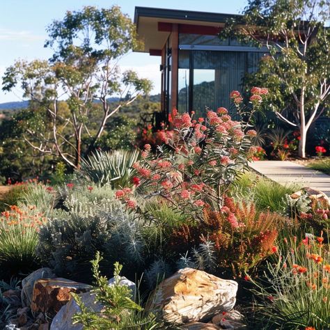 7 Native Australian Garden Ideas and Beautiful Designs | Constructionify Perth Native Garden Design, Native Australian Garden Design, Australian Native Backyard Garden Design, Australian Native Balcony Garden, Native Garden Australia Front Yards, Australian Native Garden Ideas, Australian Native Garden Planting Plan, Australian Native Rock Garden, Tropical And Native Garden