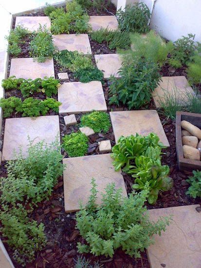 Stone tiles in the garden create an easy walkway. | 41 Cheap And Easy Backyard DIYs You Must Do This Summer Easy Backyard Diy, Herb Garden Design, Easy Backyard, Easy Landscaping, Have Inspiration, The Secret Garden, Garden Edging, Mini Garden, Diy Backyard