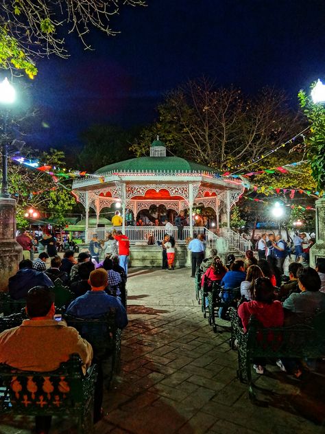 "Parque de la Marimba"  Tuxtla Gutierrez, Chiapas. Mexico. Mexican Things, Latin American Music, States And Capitals, Scenic Pictures, Mexico Flag, Holiday Places, Mexico Vacation, Beautiful Park, Boat Tours