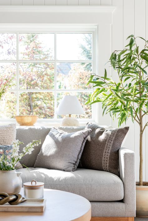 Redecorate for Spring with Threshold Designed with Studio McGee at Target - Studio McGee Weeping Eucalyptus, Trees For Indoors, Studio Mcgee Living Room, Faux Trees, Content Photos, Plant Tips, Couch Design, Coastal Living Rooms, Faux Tree