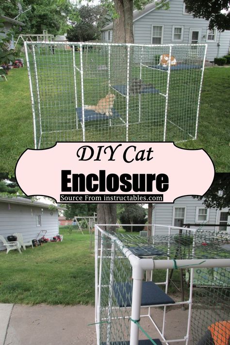 Diy Catios For Cats Easy, Diy Indoor Cat Enclosure, Diy Catios For Cats Outside Cheap, Diy Catios For Cats Cheap, Cat Fence Outdoor, Diy Catios For Cats Outside, Diy Catios For Cats, Diy Cat Fence, Catios Diy